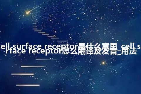 cell surface receptor是什么意思_cell surface receptor怎么翻译及发音_用法