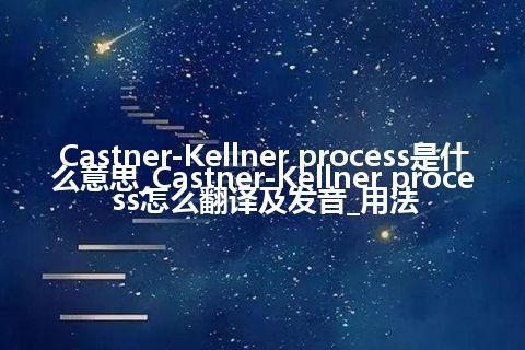 Castner-Kellner process是什么意思_Castner-Kellner process怎么翻译及发音_用法