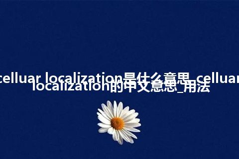 celluar localization是什么意思_celluar localization的中文意思_用法