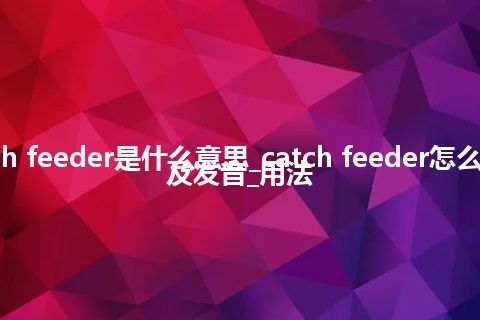 catch feeder是什么意思_catch feeder怎么翻译及发音_用法