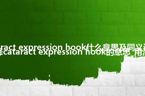 cataract expression hook什么意思及同义词_翻译cataract expression hook的意思_用法