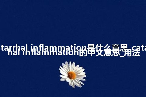 catarrhal inflammation是什么意思_catarrhal inflammation的中文意思_用法