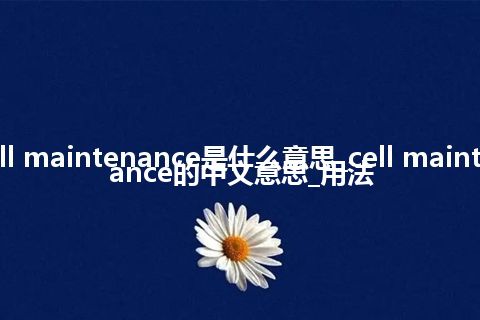 cell maintenance是什么意思_cell maintenance的中文意思_用法