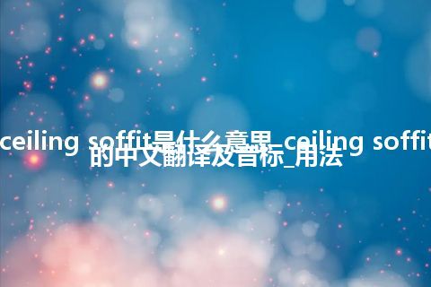 ceiling soffit是什么意思_ceiling soffit的中文翻译及音标_用法