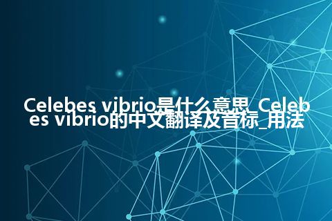 Celebes vibrio是什么意思_Celebes vibrio的中文翻译及音标_用法