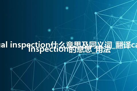 casual inspection什么意思及同义词_翻译casual inspection的意思_用法