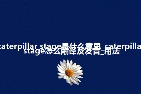 caterpillar stage是什么意思_caterpillar stage怎么翻译及发音_用法