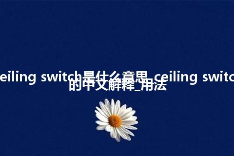 ceiling switch是什么意思_ceiling switch的中文解释_用法