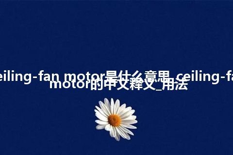 ceiling-fan motor是什么意思_ceiling-fan motor的中文释义_用法