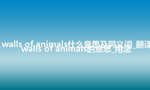 cell walls of animals什么意思及同义词_翻译cell walls of animals的意思_用法