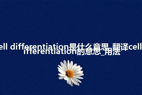 cell differentiation是什么意思_翻译cell differentiation的意思_用法