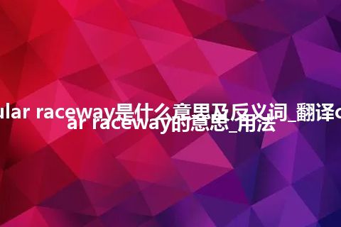 cellular raceway是什么意思及反义词_翻译cellular raceway的意思_用法