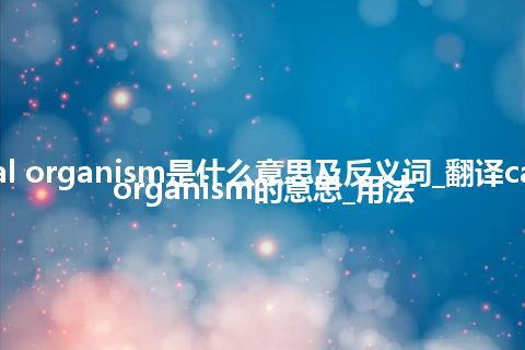 causal organism是什么意思及反义词_翻译causal organism的意思_用法