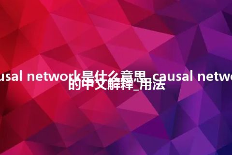 causal network是什么意思_causal network的中文解释_用法