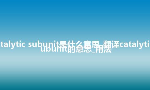 catalytic subunit是什么意思_翻译catalytic subunit的意思_用法