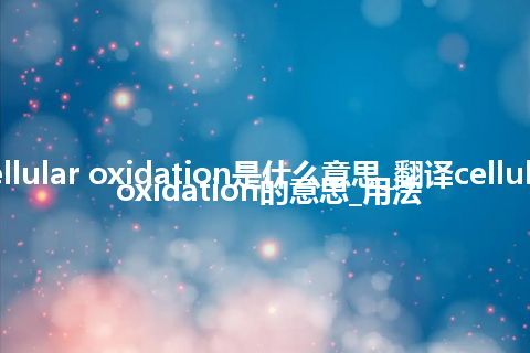 cellular oxidation是什么意思_翻译cellular oxidation的意思_用法