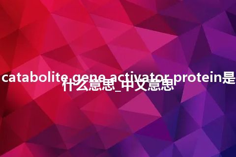 catabolite gene activator protein是什么意思_中文意思