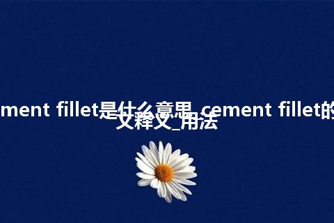 cement fillet是什么意思_cement fillet的中文释义_用法