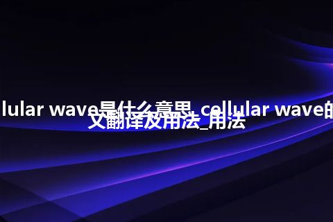 cellular wave是什么意思_cellular wave的中文翻译及用法_用法