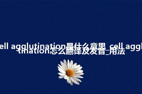 cell agglutination是什么意思_cell agglutination怎么翻译及发音_用法