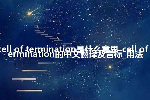 cell of termination是什么意思_cell of termination的中文翻译及音标_用法