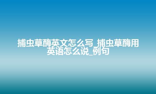 捕虫草酶英文怎么写_捕虫草酶用英语怎么说_例句