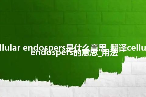 cellular endospers是什么意思_翻译cellular endospers的意思_用法