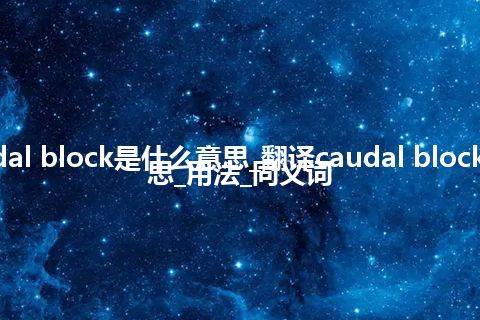 caudal block是什么意思_翻译caudal block的意思_用法_同义词