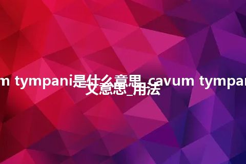 cavum tympani是什么意思_cavum tympani的中文意思_用法