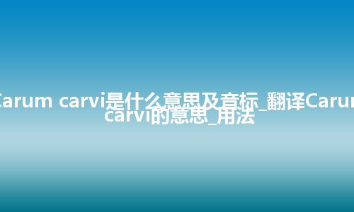 Carum carvi是什么意思及音标_翻译Carum carvi的意思_用法