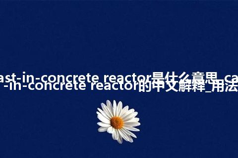 cast-in-concrete reactor是什么意思_cast-in-concrete reactor的中文解释_用法