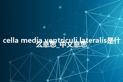 cella media ventriculi lateralis是什么意思_中文意思