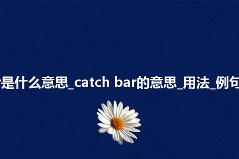 catch bar是什么意思_catch bar的意思_用法_例句_英语短语