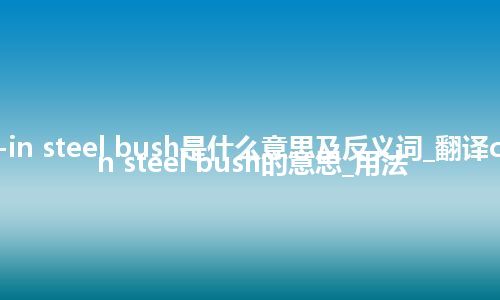 cast-in steel bush是什么意思及反义词_翻译cast-in steel bush的意思_用法