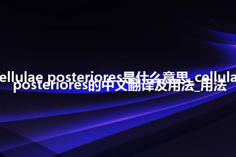 cellulae posteriores是什么意思_cellulae posteriores的中文翻译及用法_用法