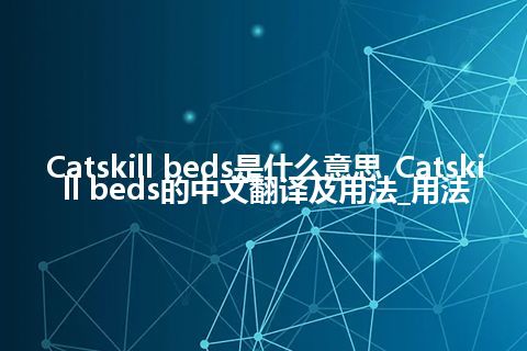 Catskill beds是什么意思_Catskill beds的中文翻译及用法_用法