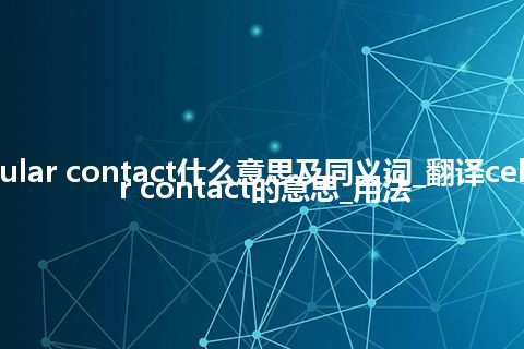 cellular contact什么意思及同义词_翻译cellular contact的意思_用法