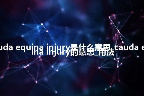 cauda equina injury是什么意思_cauda equina injury的意思_用法