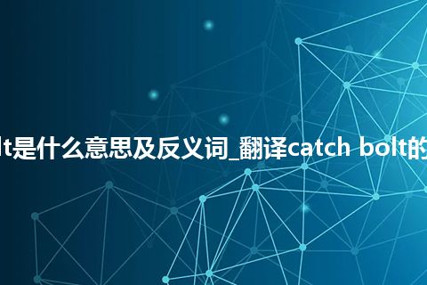 catch bolt是什么意思及反义词_翻译catch bolt的意思_用法