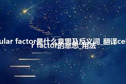 cellular factor是什么意思及反义词_翻译cellular factor的意思_用法