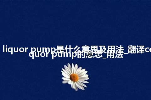 cell liquor pump是什么意思及用法_翻译cell liquor pump的意思_用法