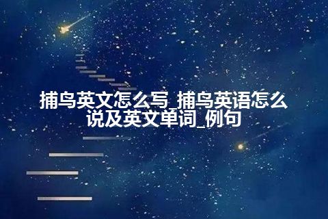 捕鸟英文怎么写_捕鸟英语怎么说及英文单词_例句