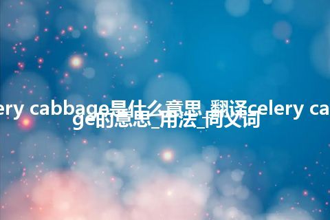 celery cabbage是什么意思_翻译celery cabbage的意思_用法_同义词