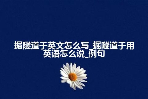 掘隧道于英文怎么写_掘隧道于用英语怎么说_例句