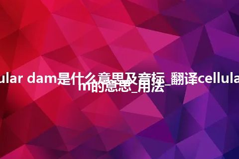 cellular dam是什么意思及音标_翻译cellular dam的意思_用法