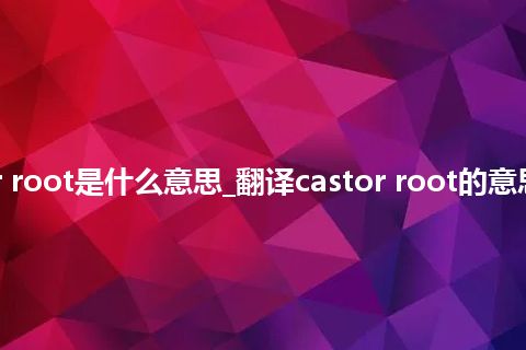 castor root是什么意思_翻译castor root的意思_用法