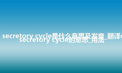 cell secretory cycle是什么意思及发音_翻译cell secretory cycle的意思_用法