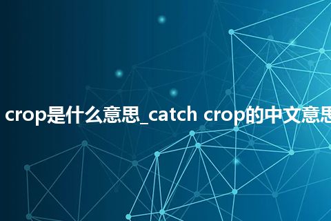 catch crop是什么意思_catch crop的中文意思_用法