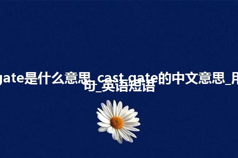 cast gate是什么意思_cast gate的中文意思_用法_例句_英语短语