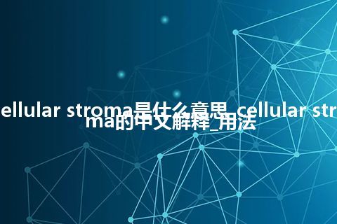 cellular stroma是什么意思_cellular stroma的中文解释_用法